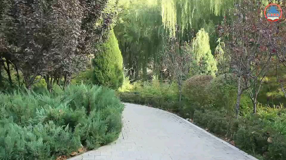生活里的苦难和幸福